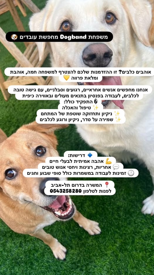 דרוש עבודות ניקיון בבדרום