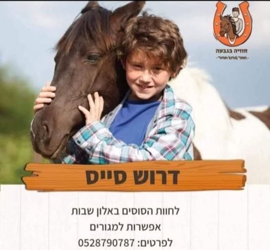 דרוש ספר בגוש עציון