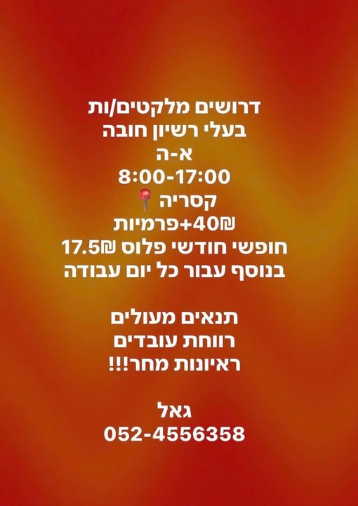 דרוש מלקט בהרצליה