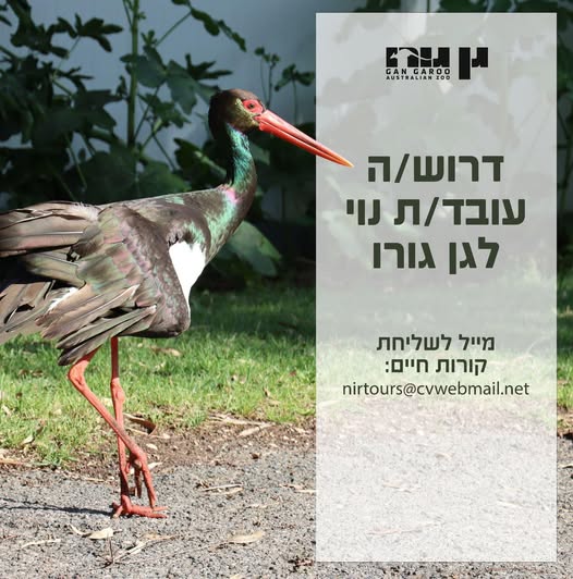 דרוש גננות וסייעות בעפולה