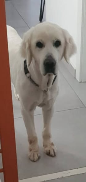 דרוש ספר בעפולה