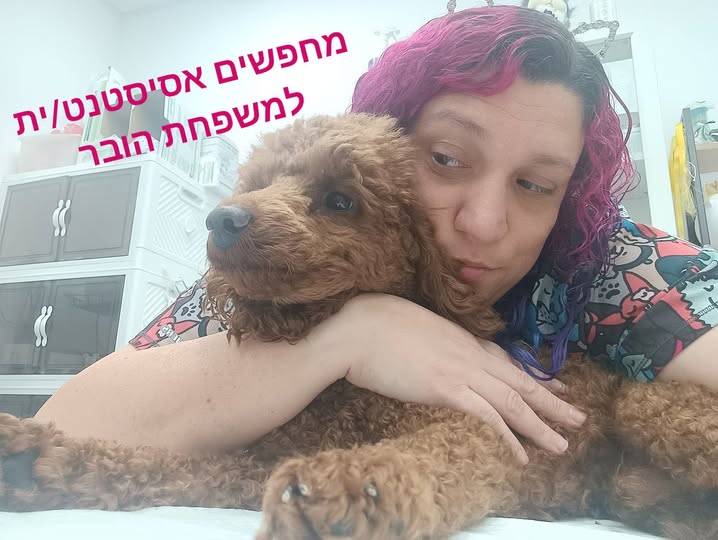 דרוש גבייה בבאר שבע