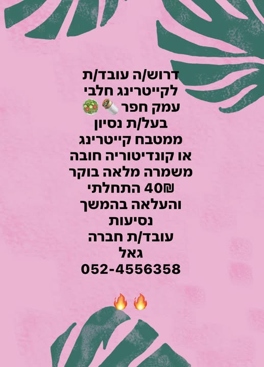 דרוש מנהל תוכן בנתניה
