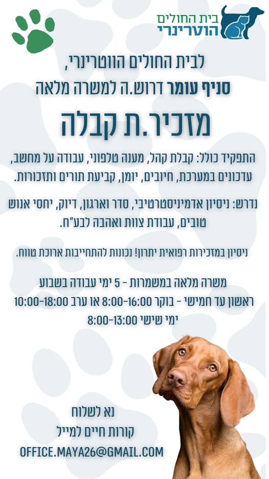 דרוש מזכירות ופקידות במרכז