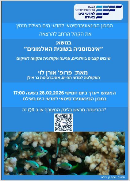 דרוש קצב באילת