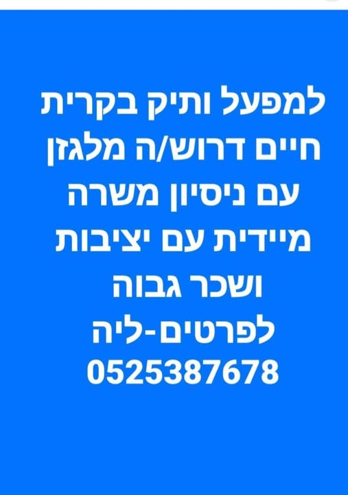 דרוש מלגזן בקרית חיים