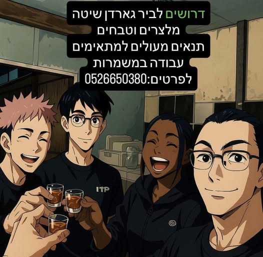 דרוש מלצר בערד