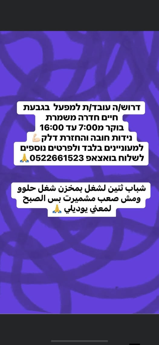 דרוש מלגזן בחדרה