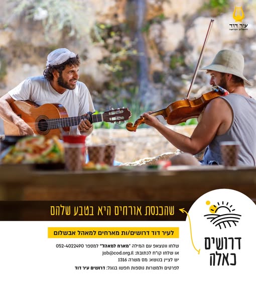 דרוש מארח/ת בירושלים