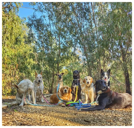 דרוש עובד כללי במרכז