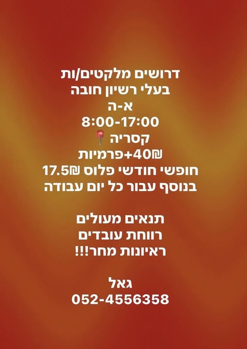 דרוש מלקט בנתניה