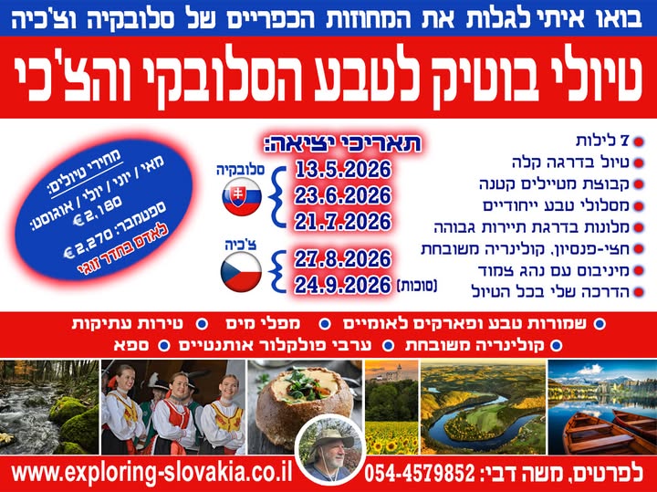 דרוש תיירות בדרום