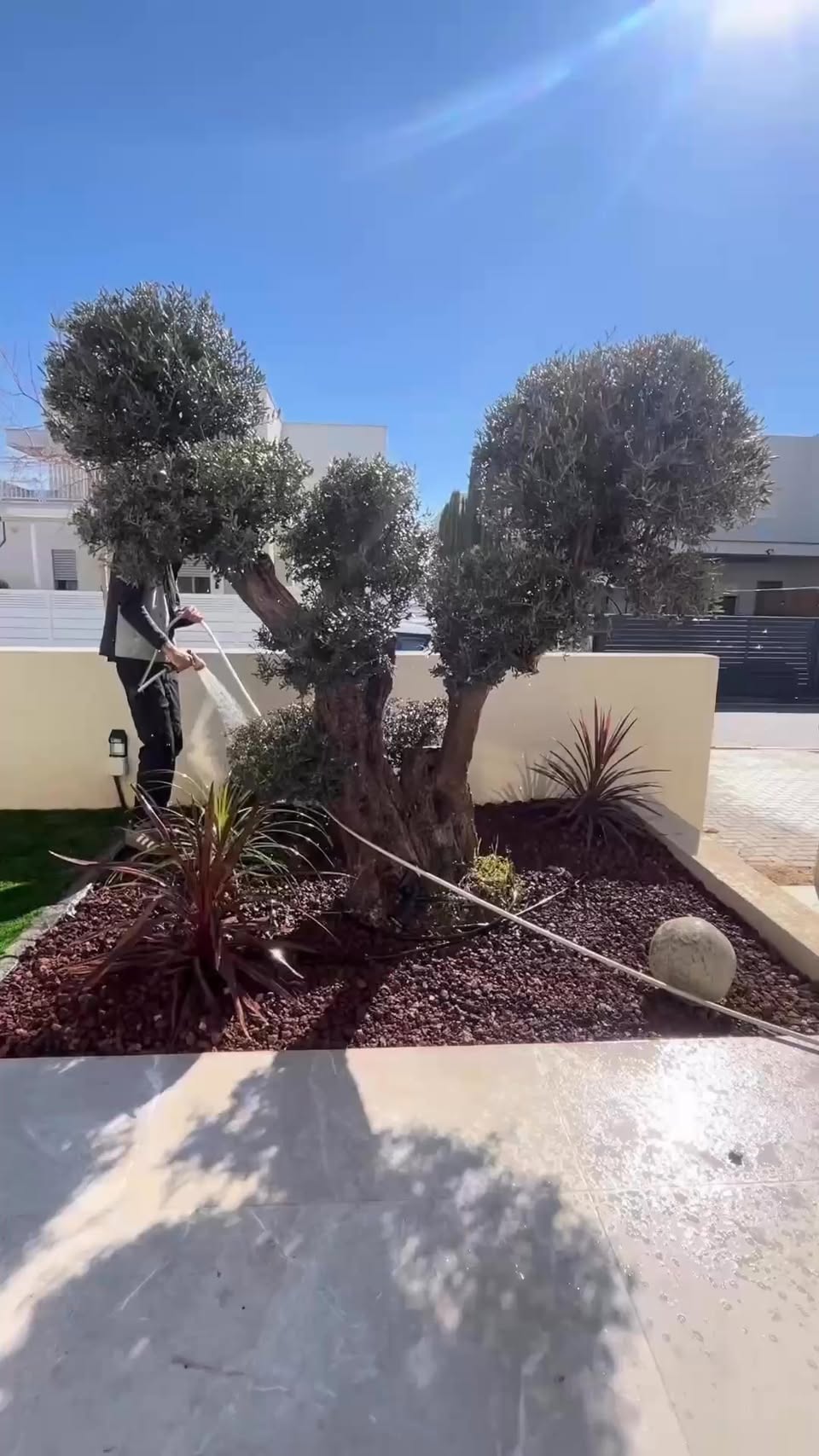 דרוש התקנות בצפון