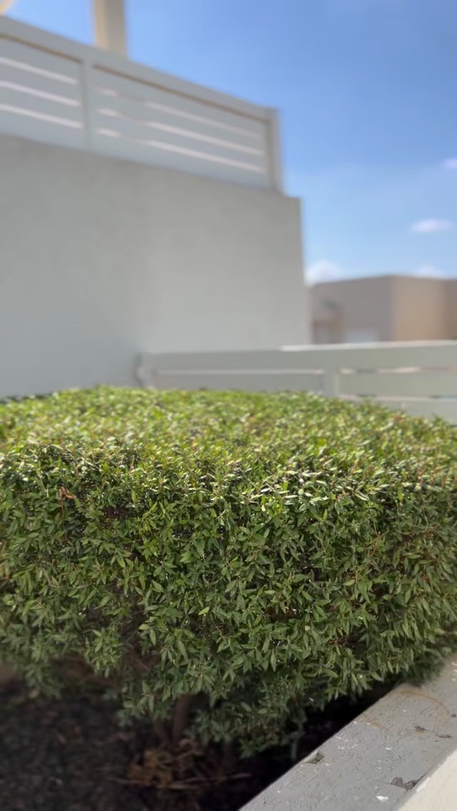 דרוש עובד כללי בטבריה