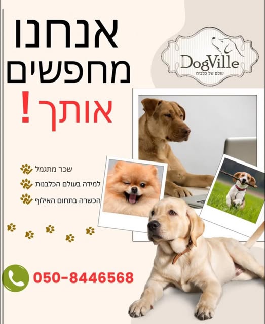 דרוש עובד כללי בתל מונד