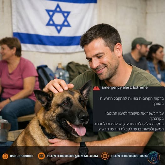 דרוש בטיחות במרכז