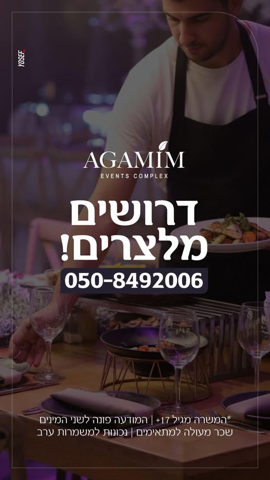 דרוש מלצר בנתיבות