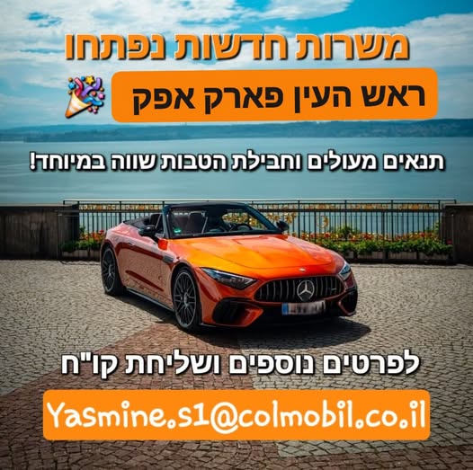 דרוש אנליסט בראש העין