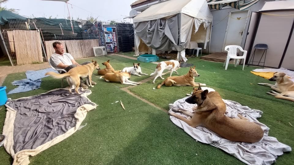 דרוש אומנות ועבודות יד בהשרון