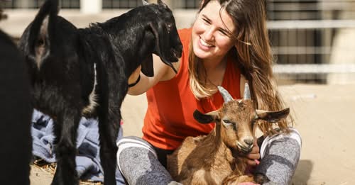 דרוש יחסי ציבור בחדרה