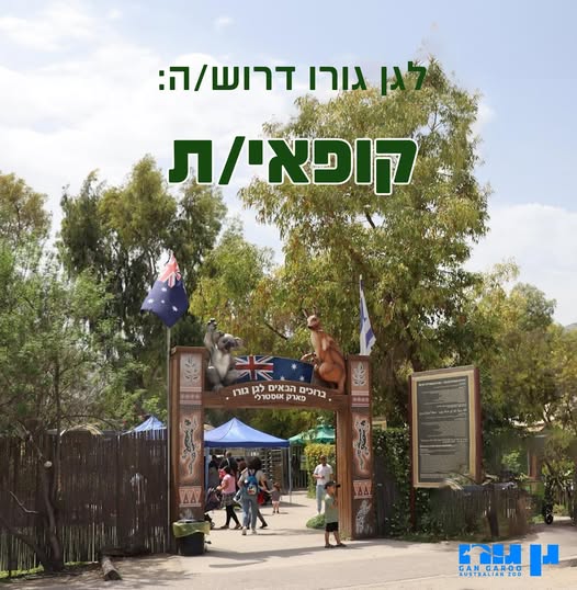 דרוש קופאי/ת בעפולה