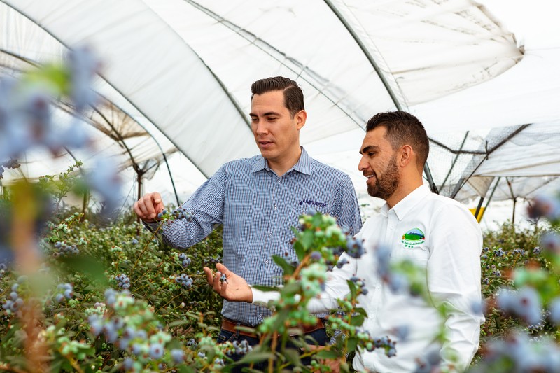 דרוש בקרת איכות בחדרה