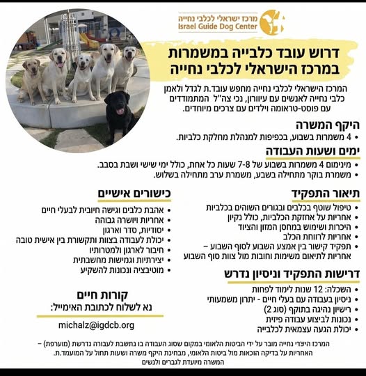 דרוש ניהול כספים בבמרכז