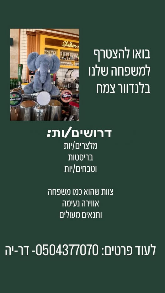 דרוש טבחים בצמח