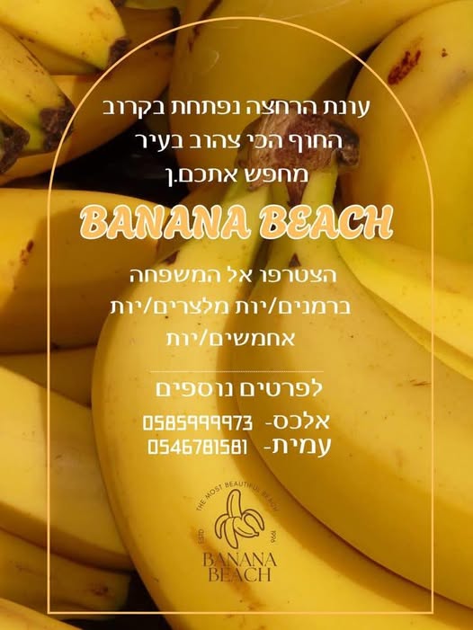 דרוש ברמנים בתל אביב