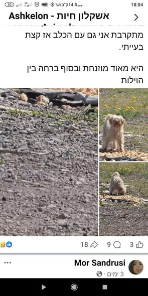 דרוש מוכר בחנות בהדרום