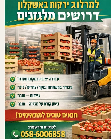 דרוש מלגזן באשקלון