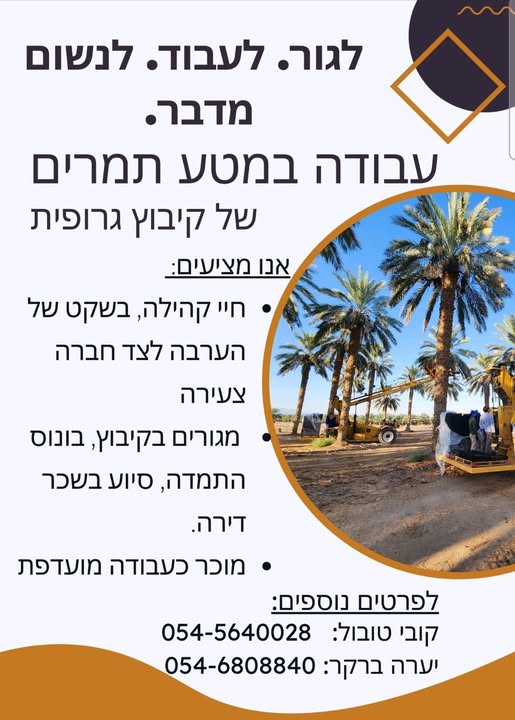 דרוש עובד כללי באילת