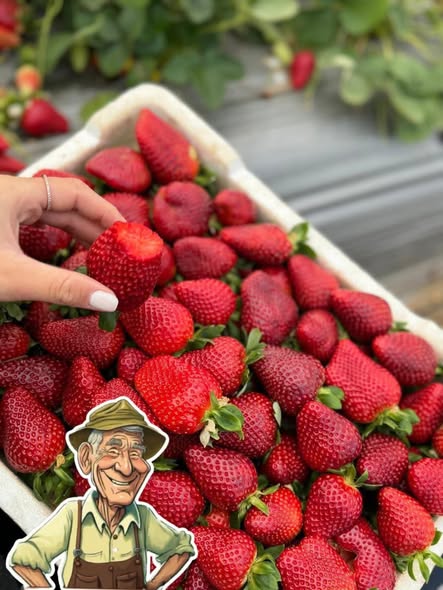 דרוש חקלאות בנתניה