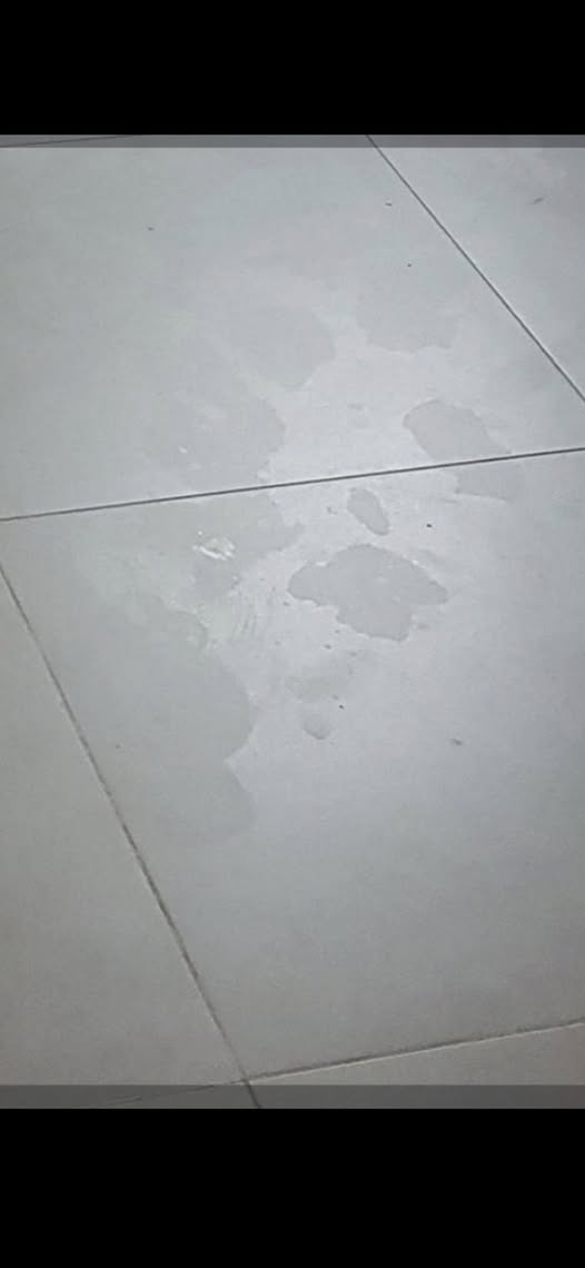 דרוש ריצוף בדימונה