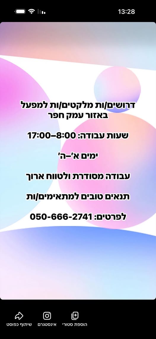 דרוש מלקט בחדרה