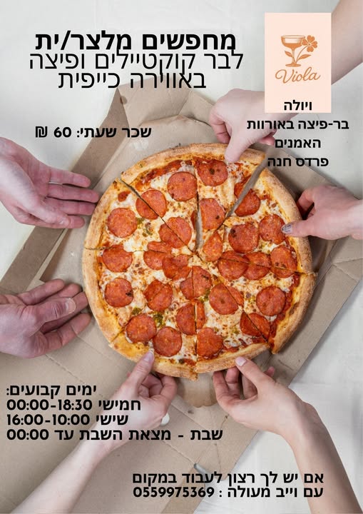 דרוש מלצרות בדרום