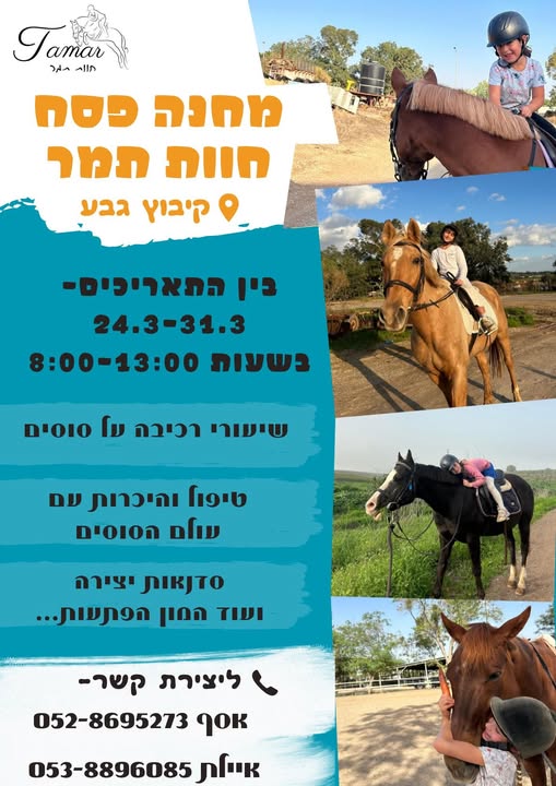 דרוש ספר בעפולה