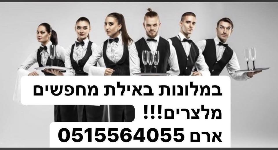 דרוש מלצר באילת