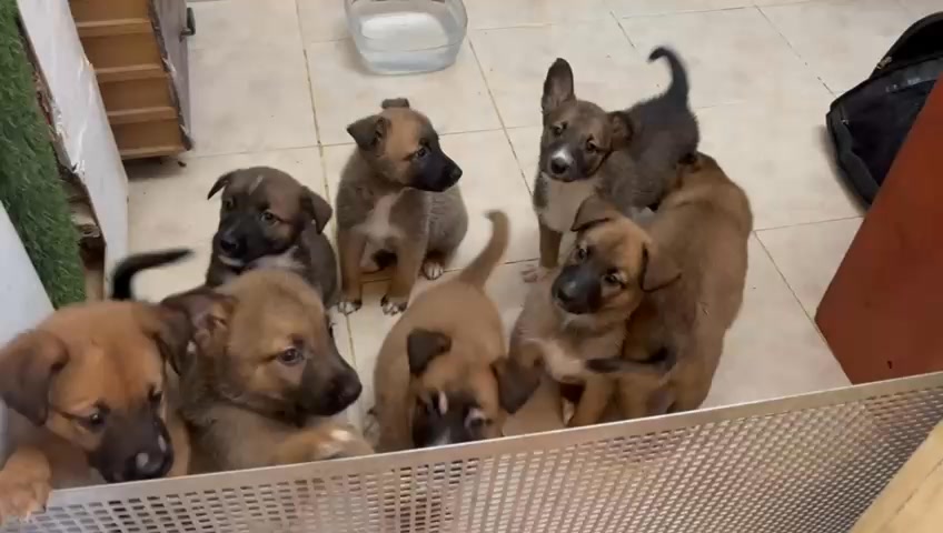 דרוש מנהל באילת