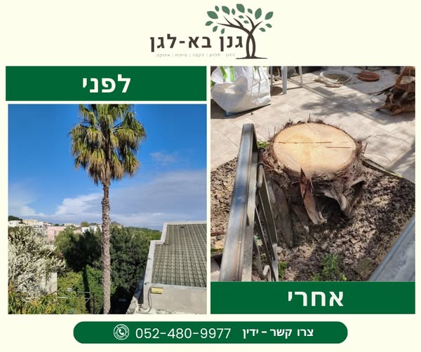 דרוש גנן במרכז