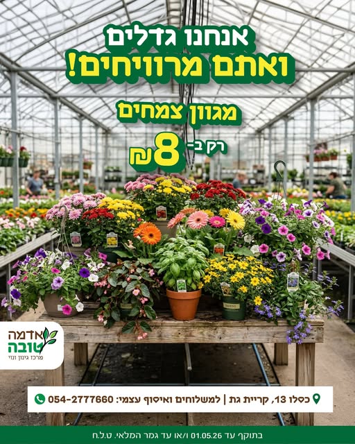 דרוש גינון במרכז