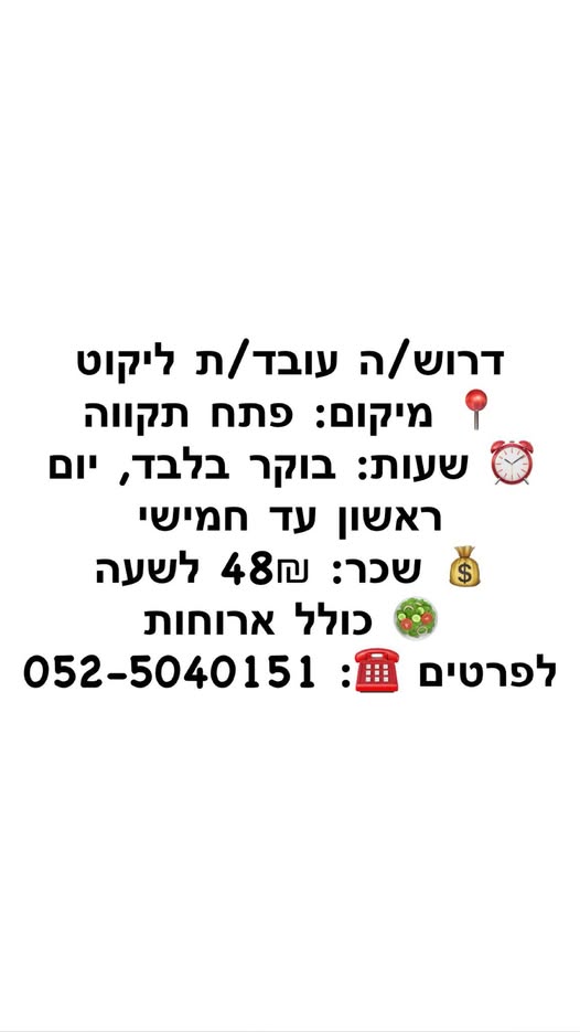 דרוש מלקט בפתח תקווה
