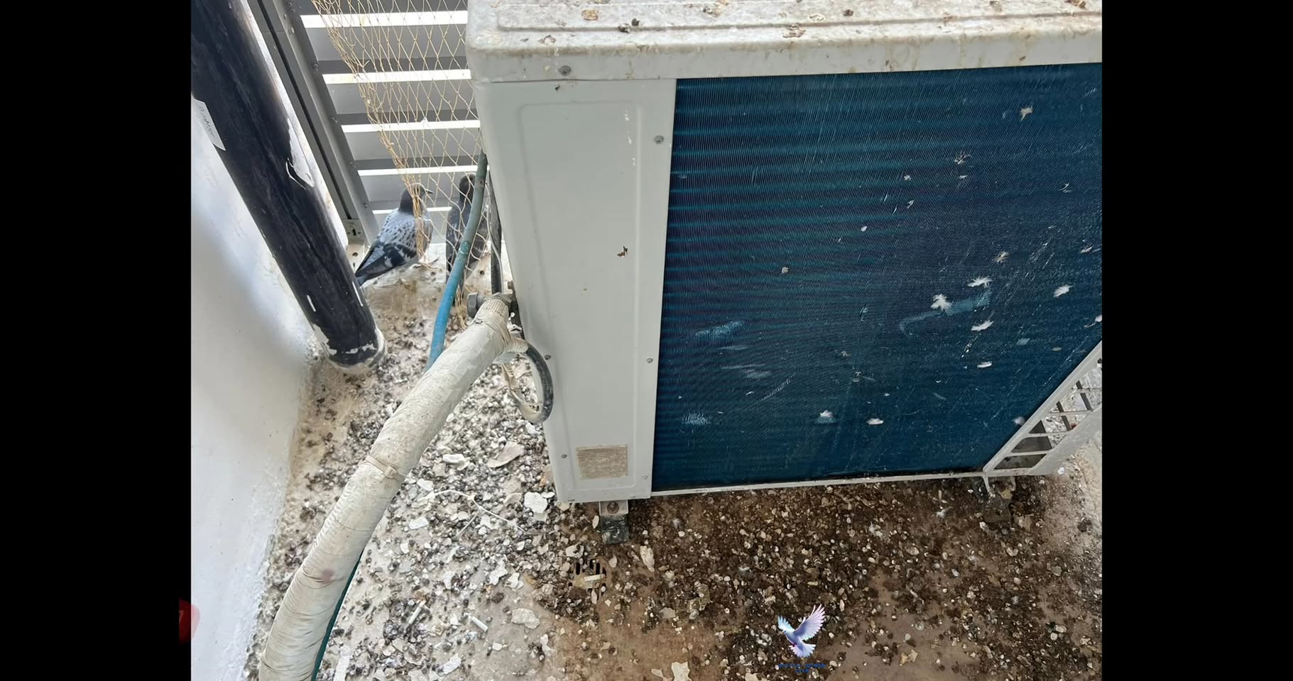 דרוש התקנות באזור הצפון