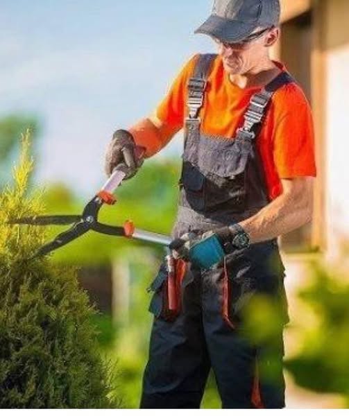 דרוש גנן בהשרון