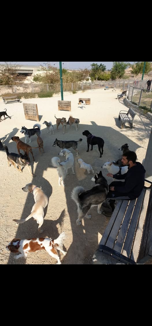 דרוש פיקוח ברחובות