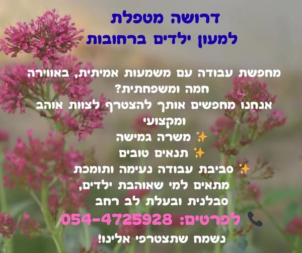 דרוש גננות וסייעות ברחובות