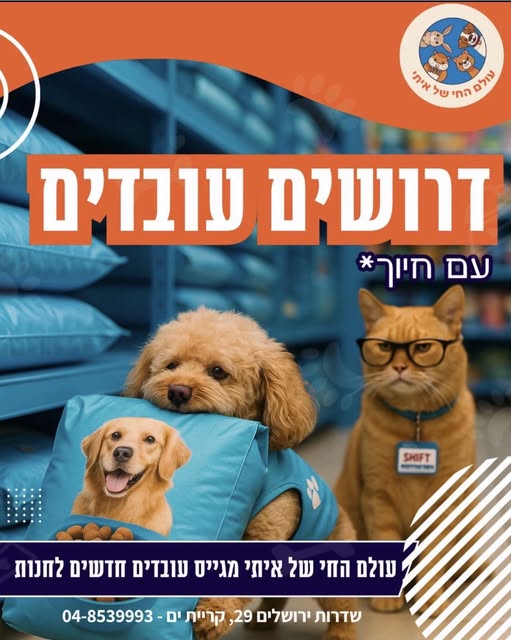 דרוש מוכר בחנות בקרית ים