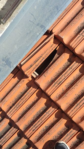 דרוש עבודות ניקיון בלוד