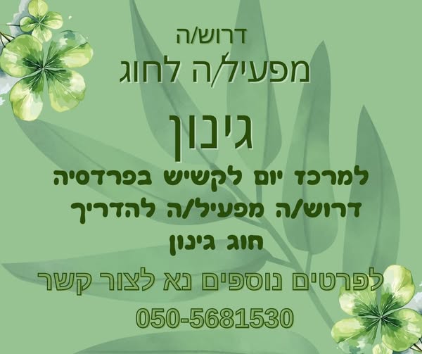 דרוש גינון במרכז