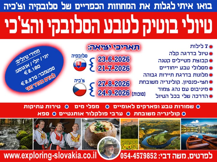 דרוש תיירות בדרום